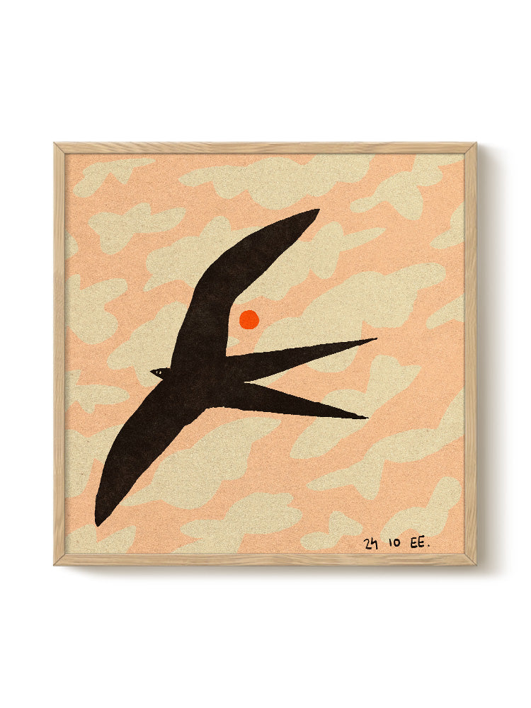 PSTR Studio  荷蘭 |  Enikő Eged - Swalow bird in the golden hour