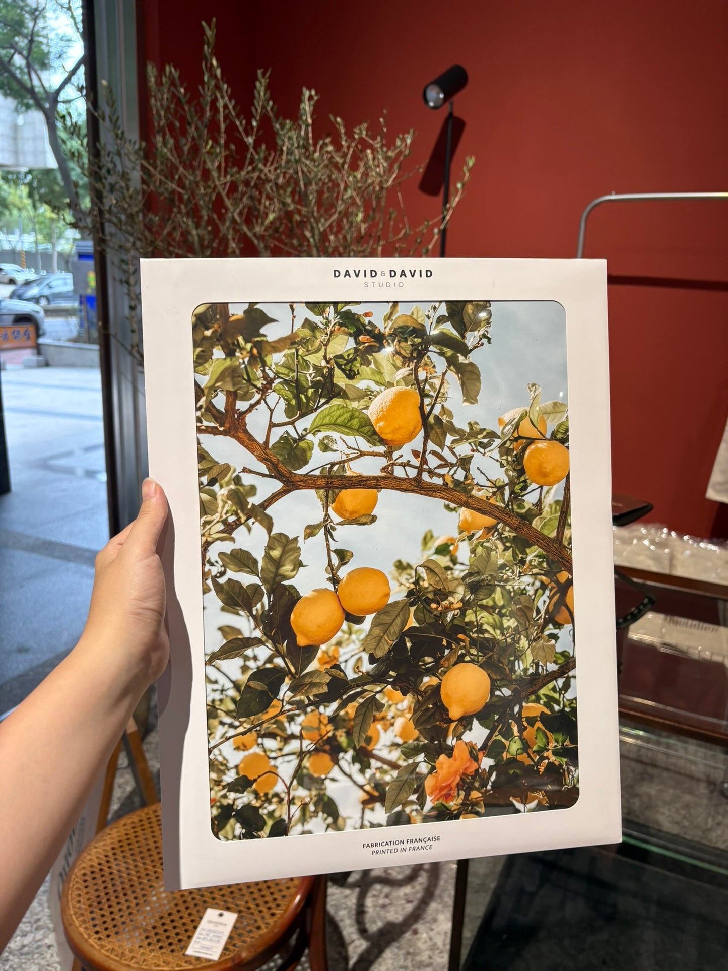 QN25007, 法國, 印刷海報 (檸檬樹)