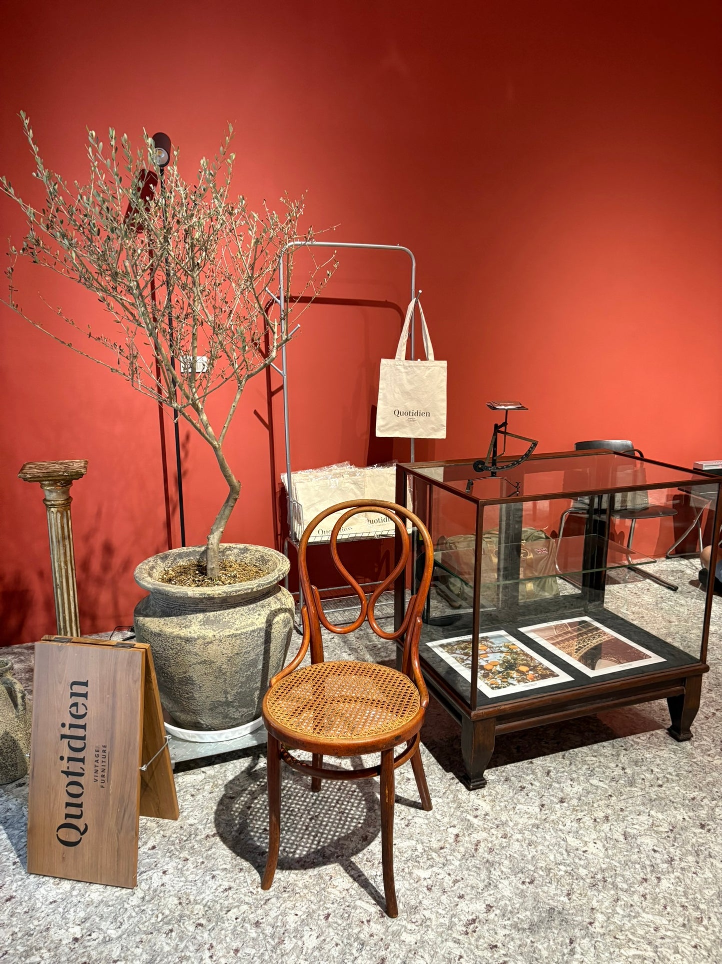 QV25034, 英國, 桃花心木玻璃展示櫃 / 櫃台